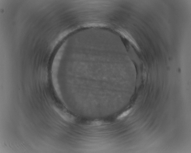 X0000078300204200612011843