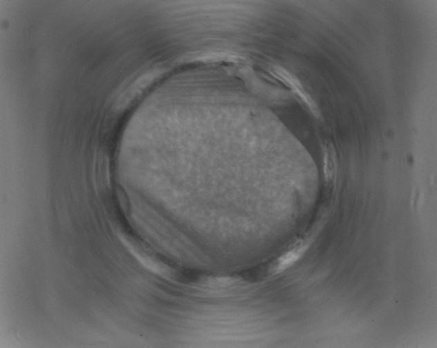 X0000078300205200612011843