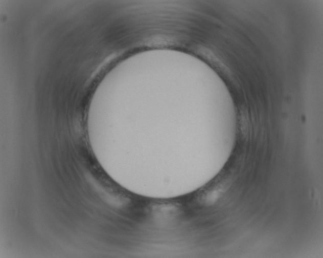 X0000078300208200612011843