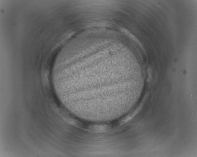 X0000078300209200612011843