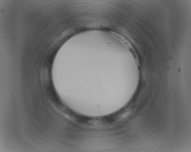 X0000078300211200612011843