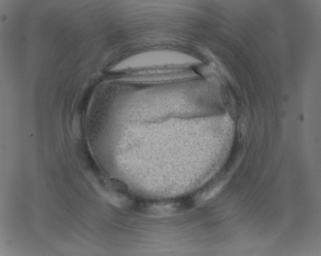 X0000078300213200612011843