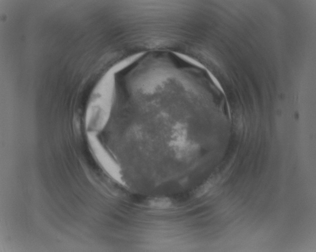 X0000078300214200612011843