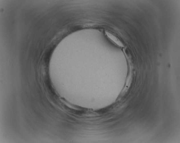 X0000078300215200612011843