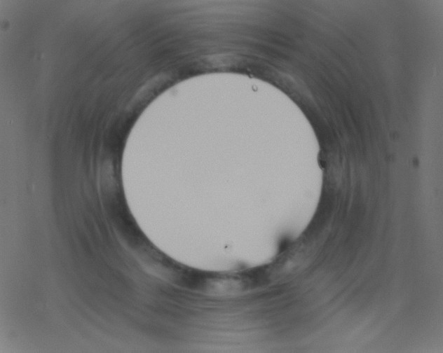 X0000078300220200612011842