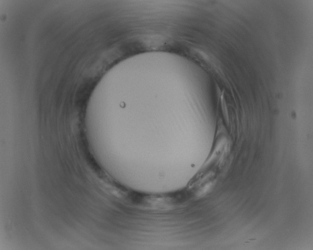 X0000078300221200612011842