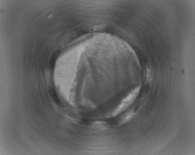 X0000078300222200612011842