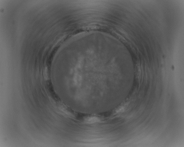 X0000078300224200612011842