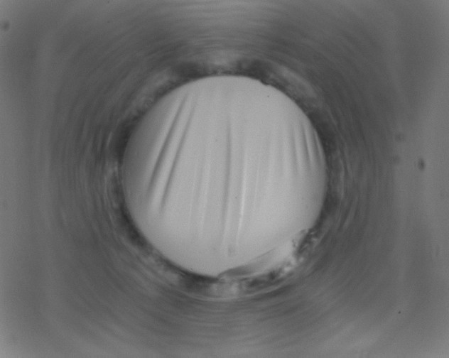 X0000078300225200612011842