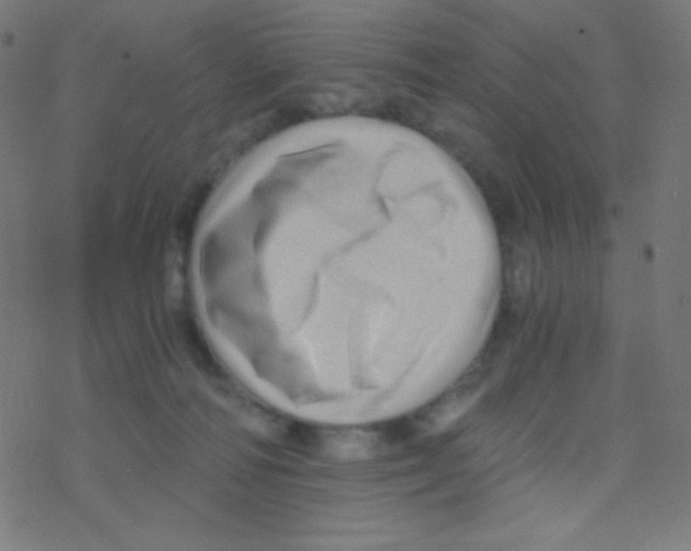 X0000078300226200612011842