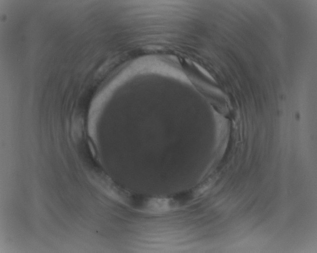 X0000078300227200612011842