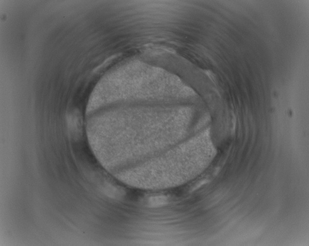 X0000078300228200612011842