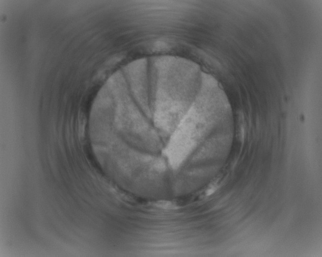 X0000078300230200612011842