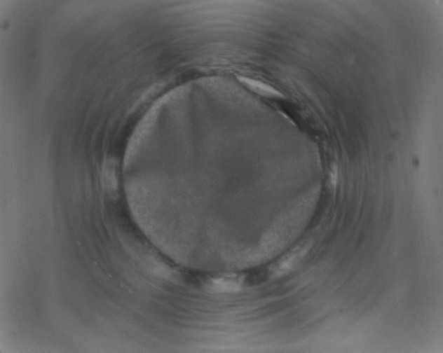 X0000078300232200612011842