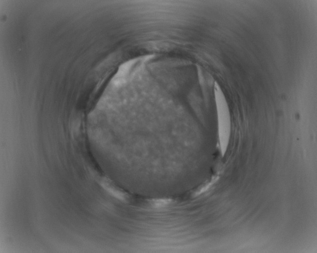 X0000078300233200612011842