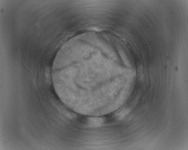 X0000078300234200612011842