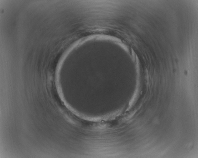 X0000078300235200612011842