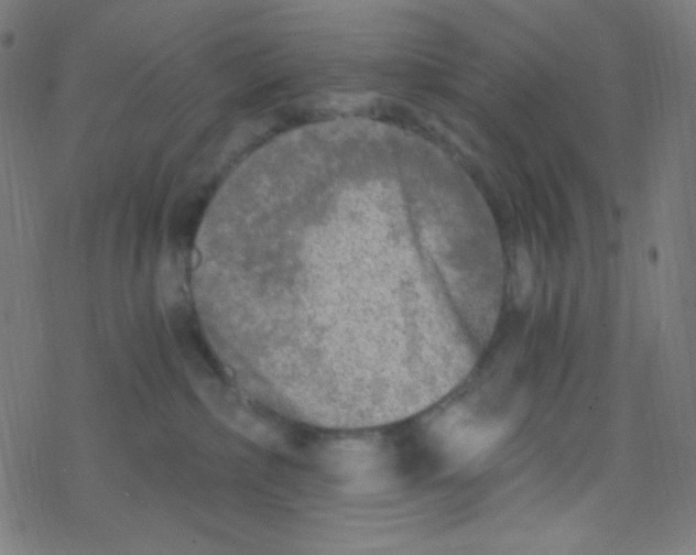 X0000078300236200612011842