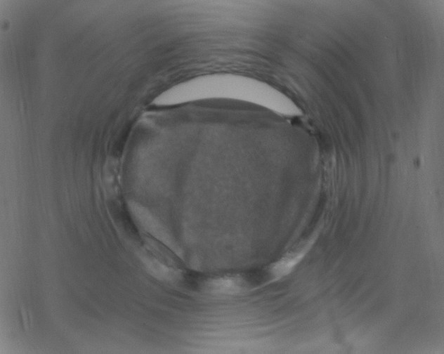 X0000078300237200612011842