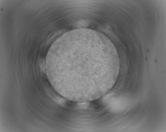 X0000078300240200612011842