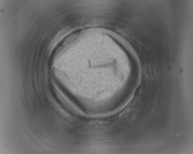 X0000078300242200612011841