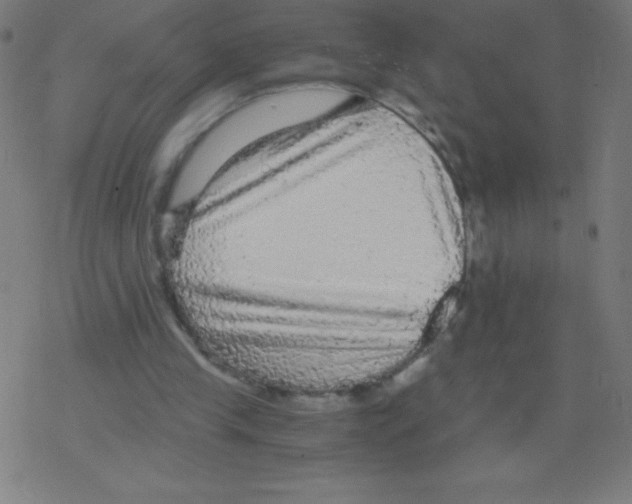 X0000078300245200612011841