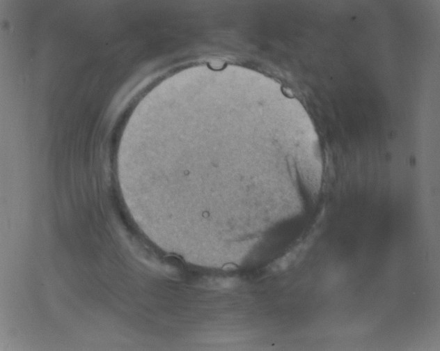 X0000078300247200612011841