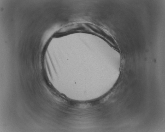 X0000078300248200612011842