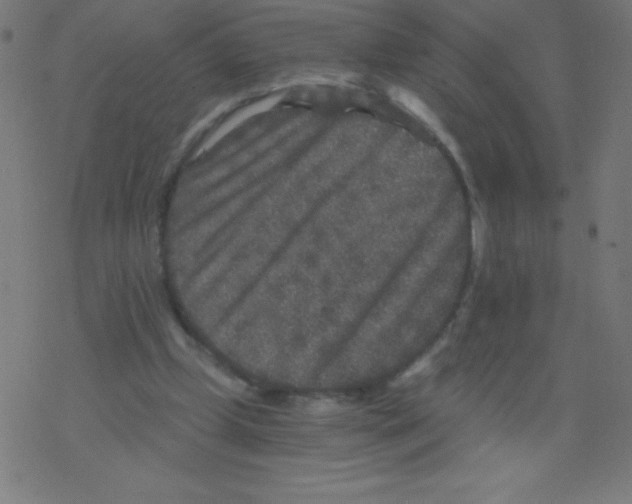 X0000078300249200612011842