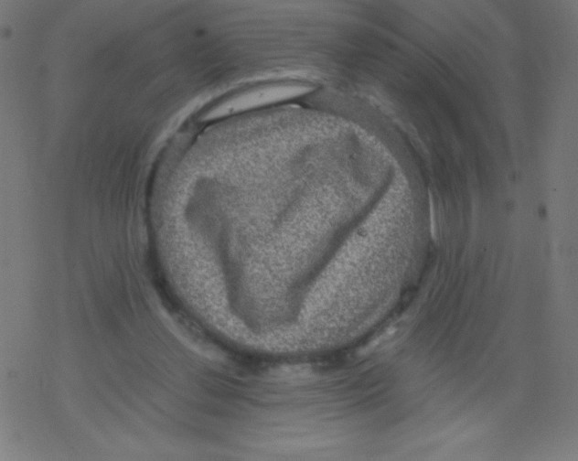 X0000078300252200612011842