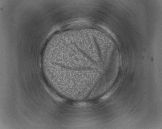 X0000078300253200612011842