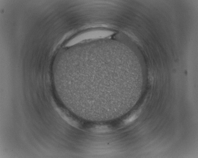 X0000078300256200612011842