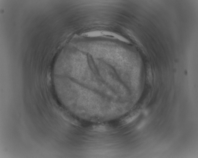 X0000078300259200612011842