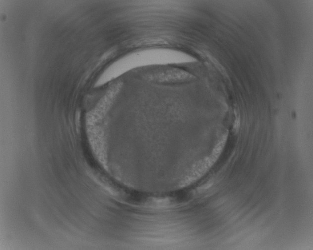 X0000078300260200612011842