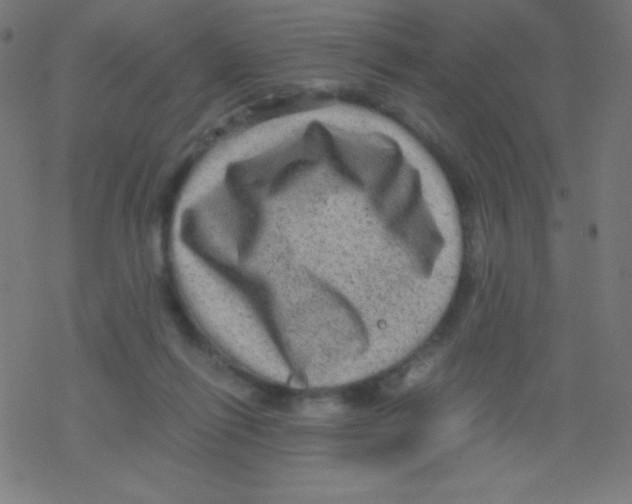 X0000078300262200612011842