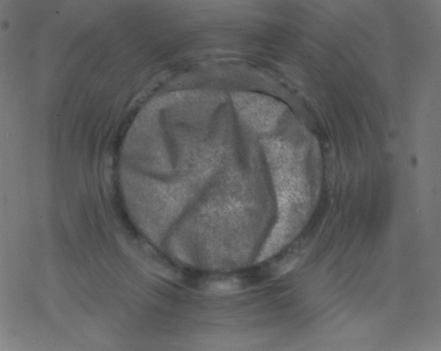 X0000078300263200612011842