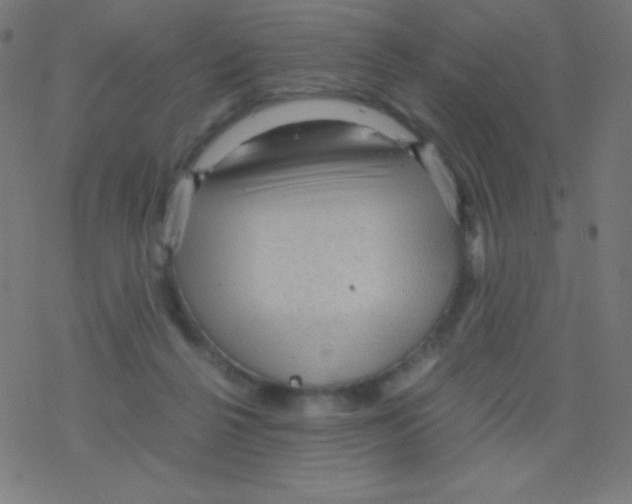 X0000078300264200612011842