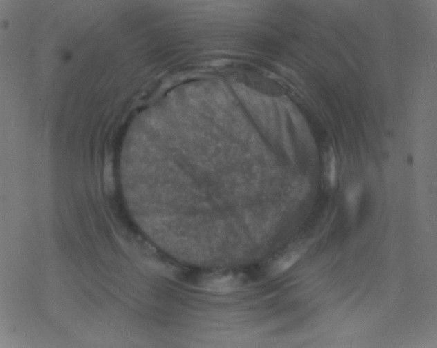 X0000078300267200612011842