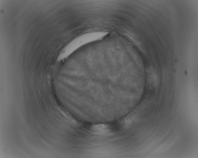 X0000078300269200612011842