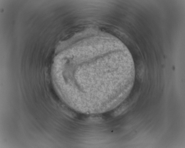 X0000078300270200612011842