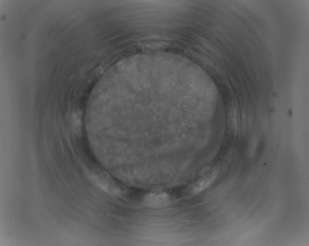 X0000078300271200612011842