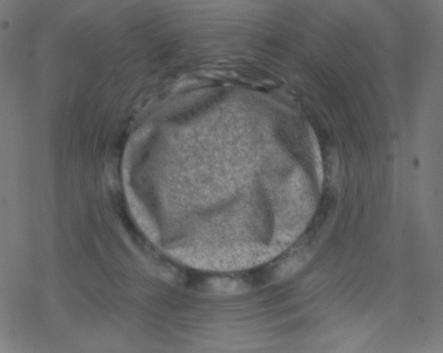 X0000078300272200612011842