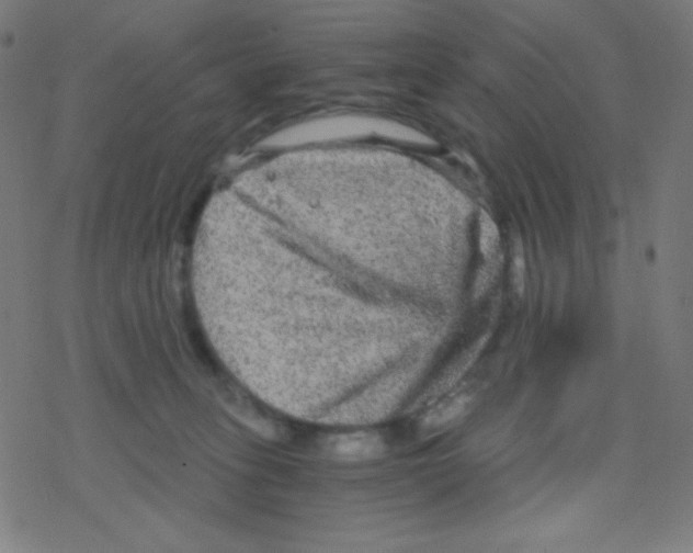 X0000078300275200612011842