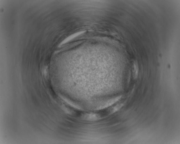 X0000078300276200612011842