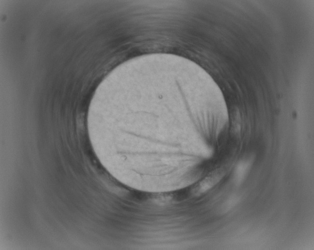 X0000078300278200612011842