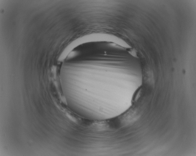 X0000078300280200612011842