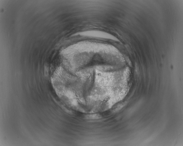 X0000078300281200612011842