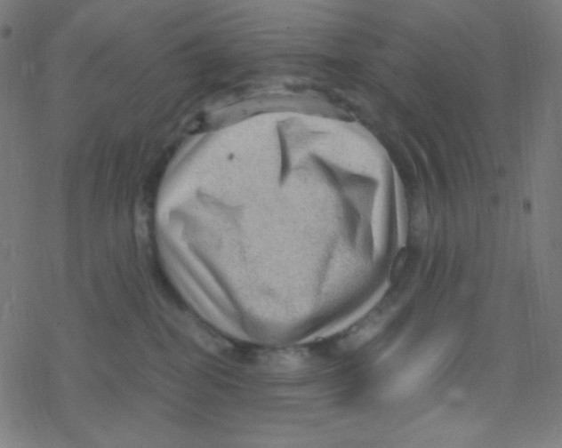 X0000078300282200612011842