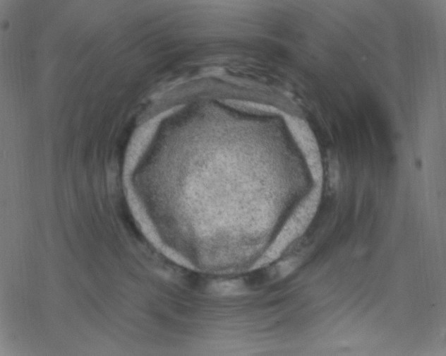 X0000078300283200612011842