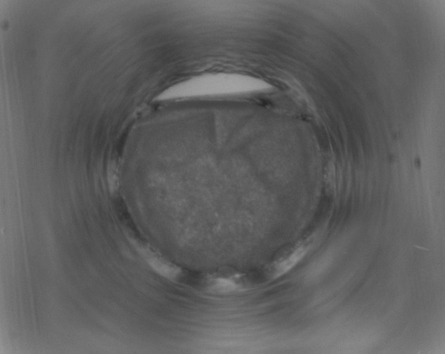 X0000078300285200612011842